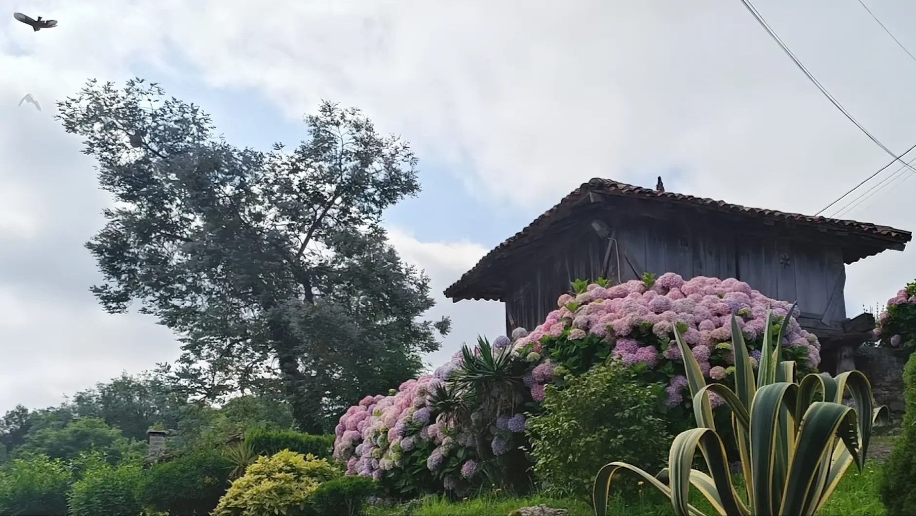JardinMariaje4